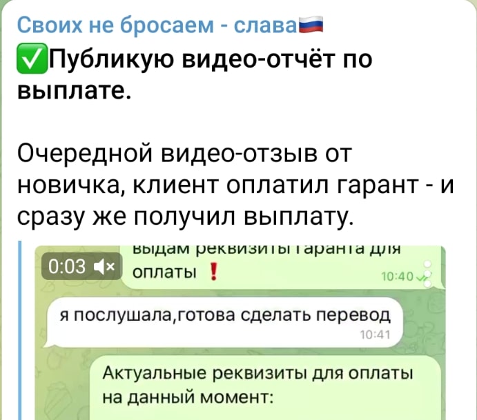 Тимофей Амосов пиар в телеграмм