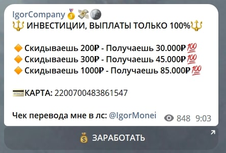 IgorCompany цены