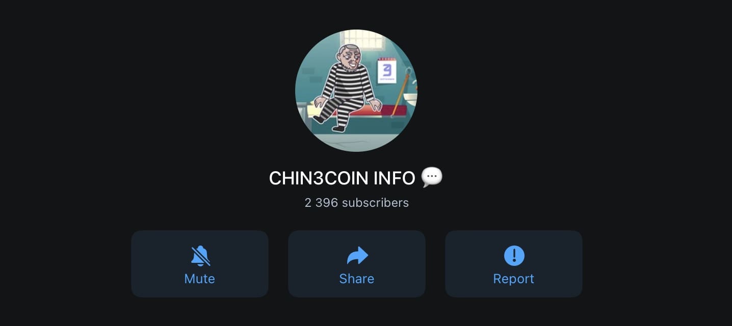 CHIN3COIN ТГ инфо