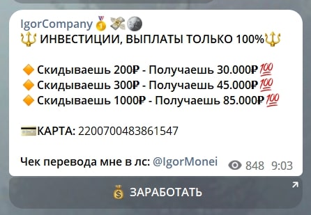 IgorCompany цены