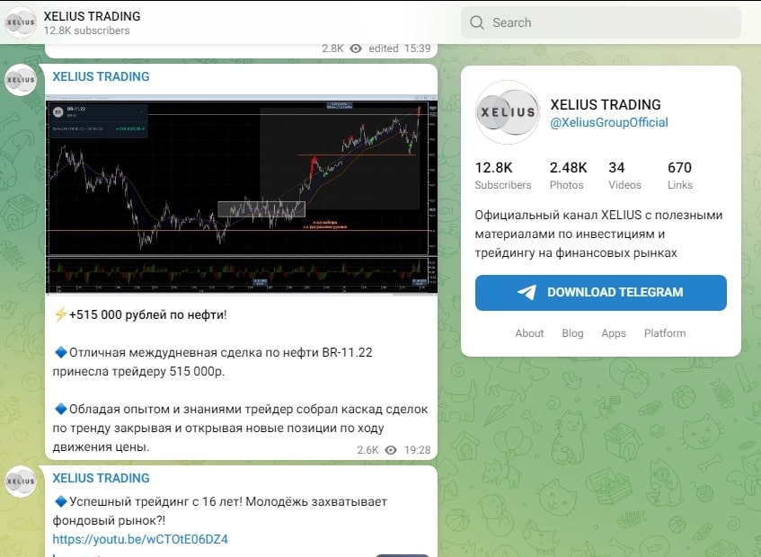 xelius group Стукалин Денис Телеграмм