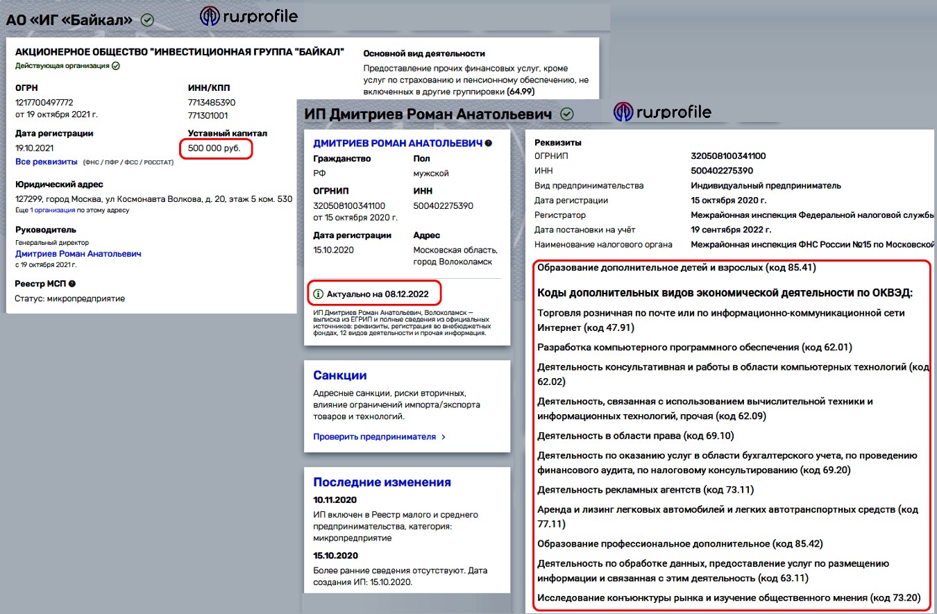 Profit King Роман Дмитриев данные