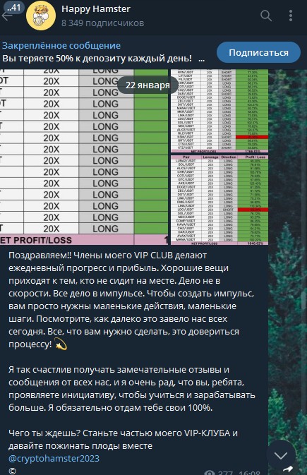 Телеграм канал Хеппи Хамстер обзор проекта