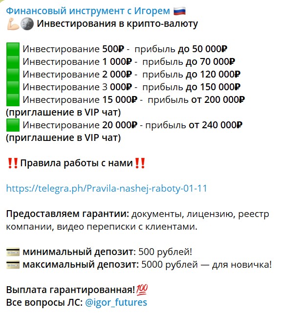 Условия инвестирования проекта Igor Futures