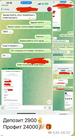 Телеграм damirzcrpton отзывы клиентов