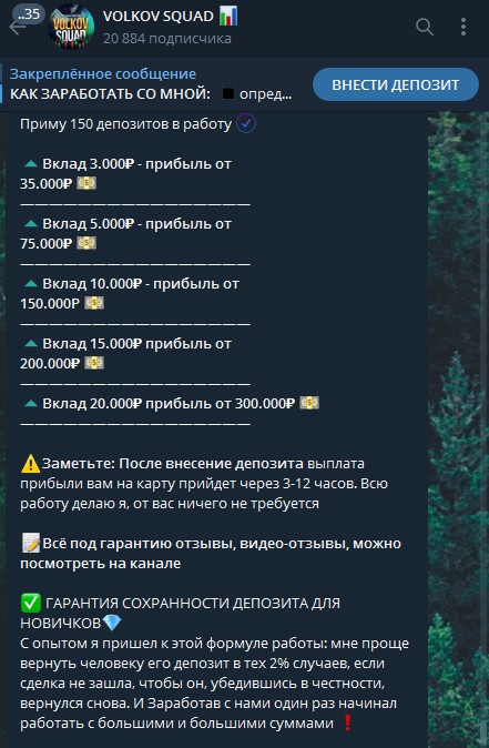 Телеграм канал Volkov Squad прибыль