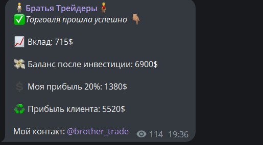 Обзор проекта Brother Trade