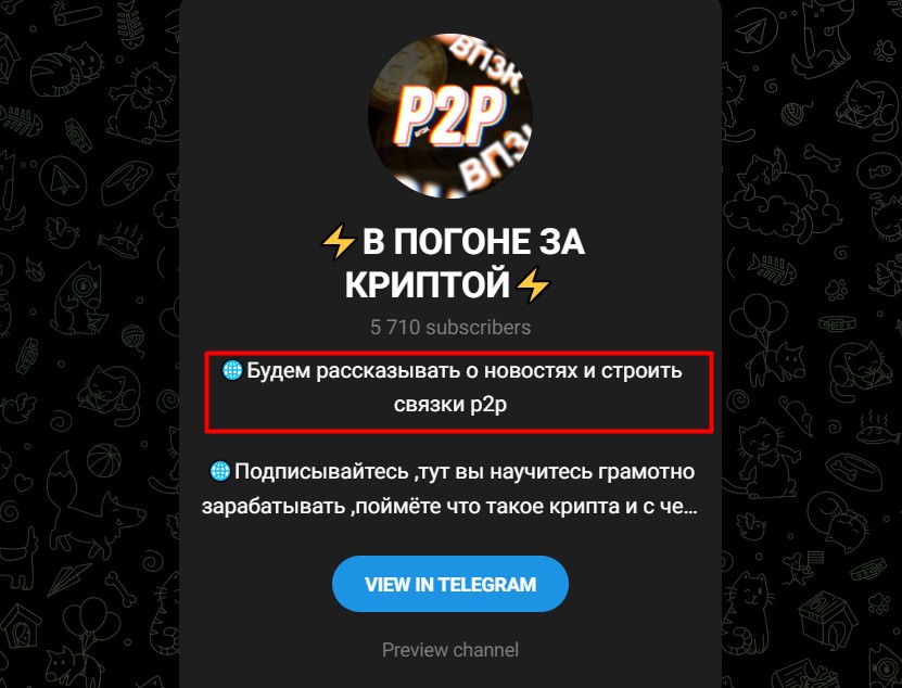 В погоне за криптой VPZK manager