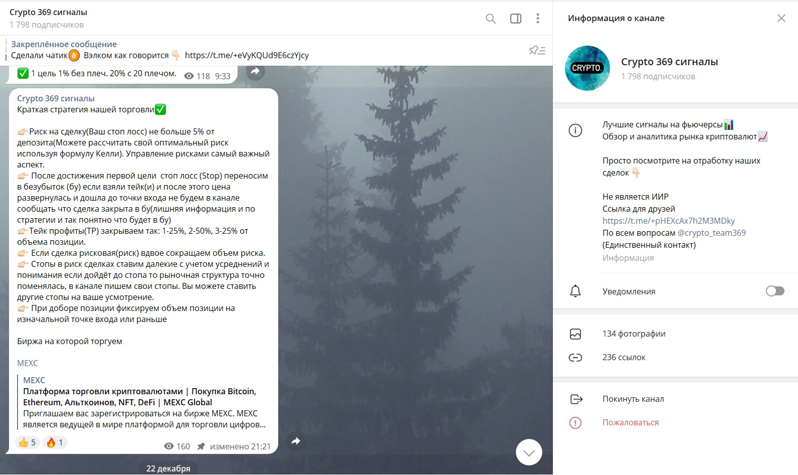 Телеграм канал Crypto 369 обзор