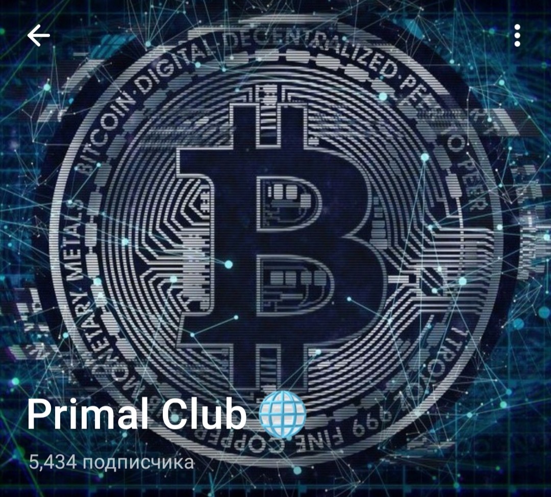 Обзор проекта Primal Club трейдер Sergio Cardinal