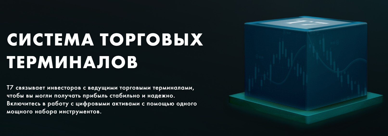 terminal7 обзор компании