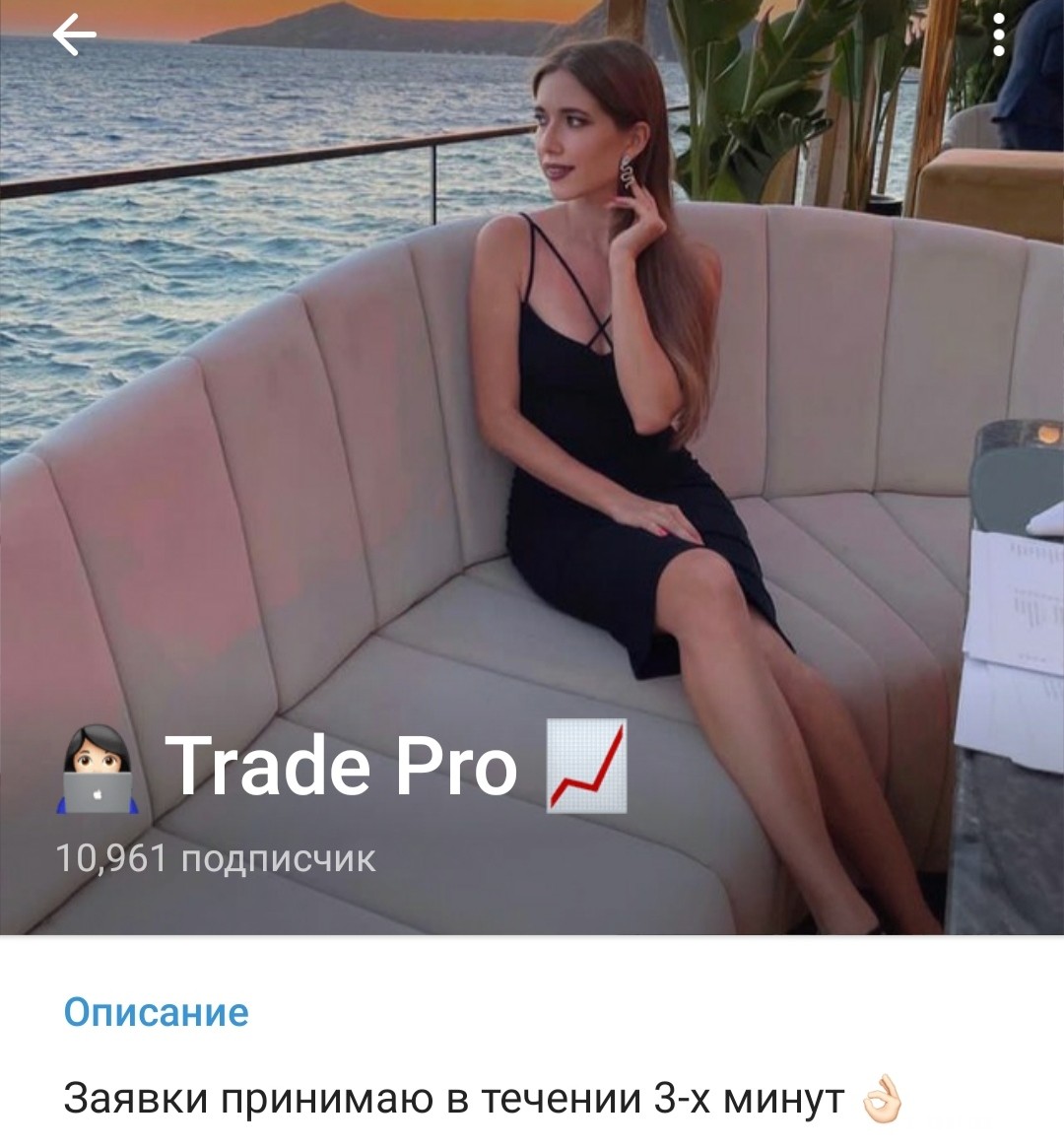 Trade Pro обзор проекта