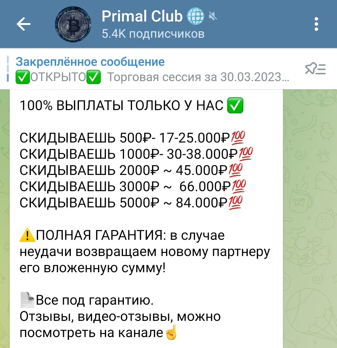 Условия инветсирования с Primal Club