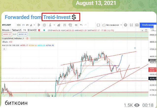 Traid Invest обзор проекта