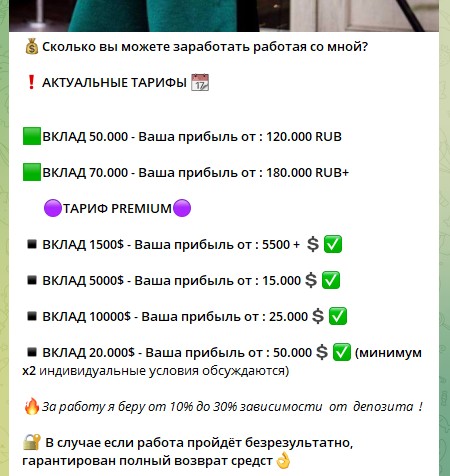 Alina Investin обзор