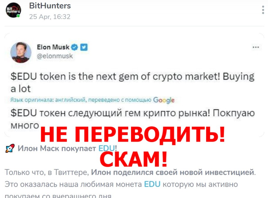 BitHunters обзор проекта