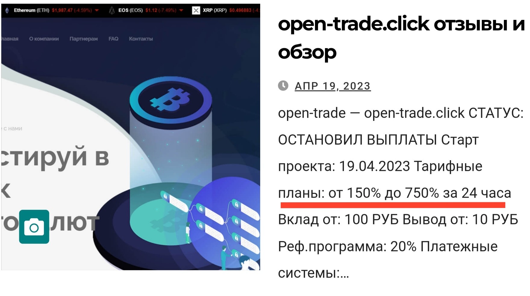 Кот инвест обзор проекта