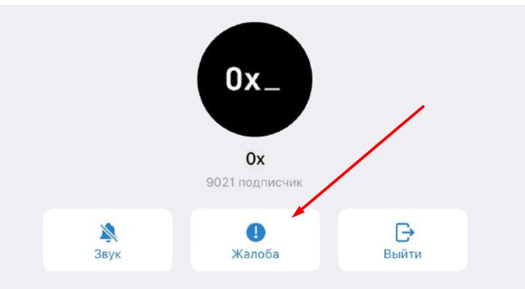 0x Телеграмм канал обзор