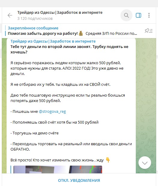 Тradeotz телеграм обзор