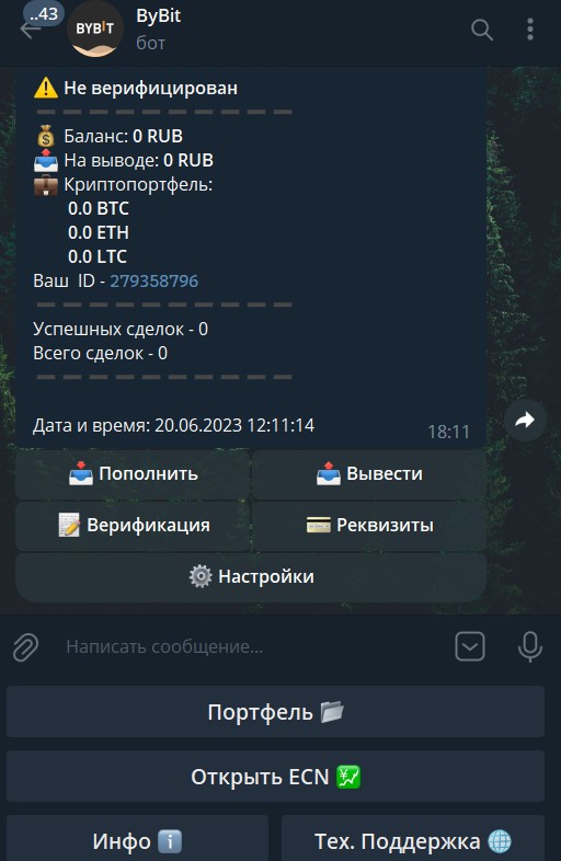 байбит бот телеграмм