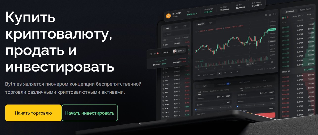 Bytmes обзор сайта