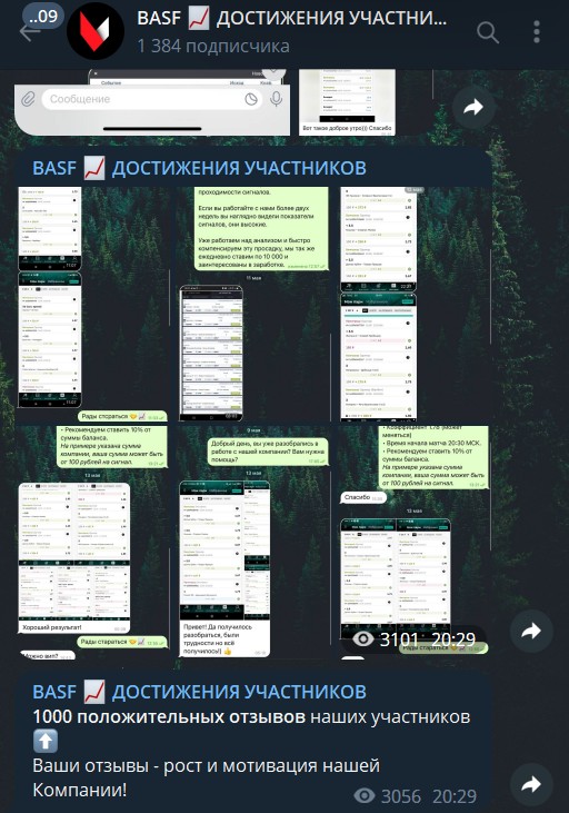 Basf в телеграмм отзывы