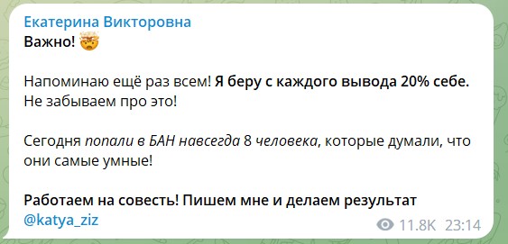 к викторовна заработок