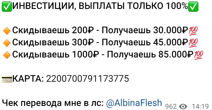 AlbinaFlesh инвестиции