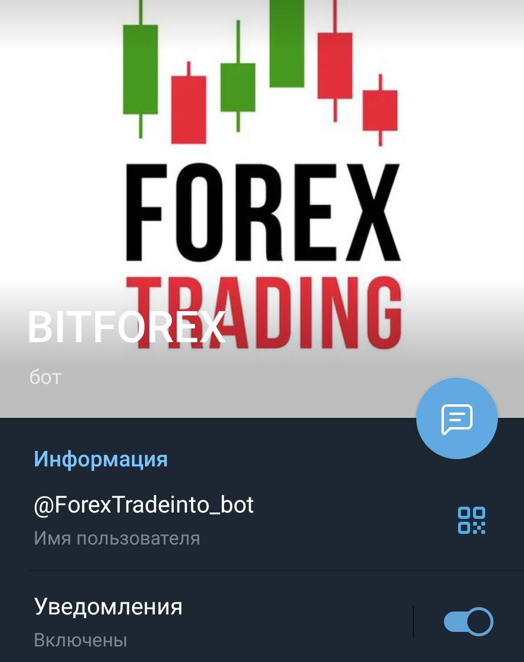 Bitforex телеграм