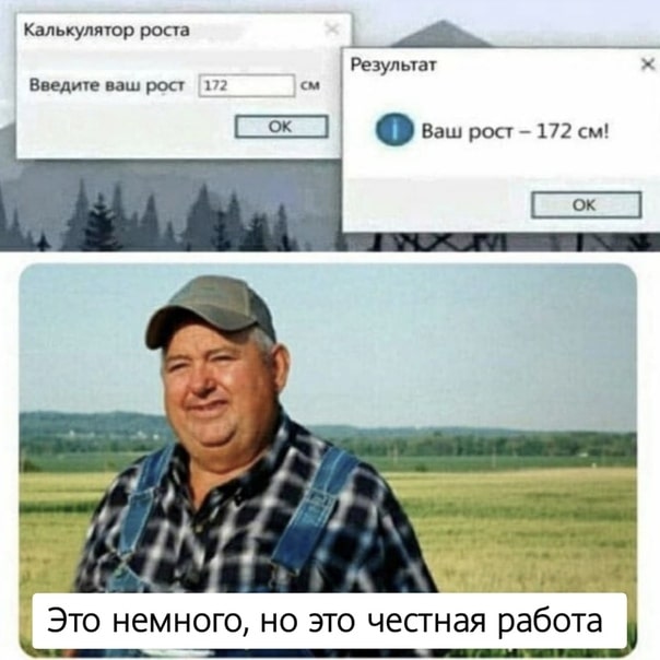 Meme Coin слоган