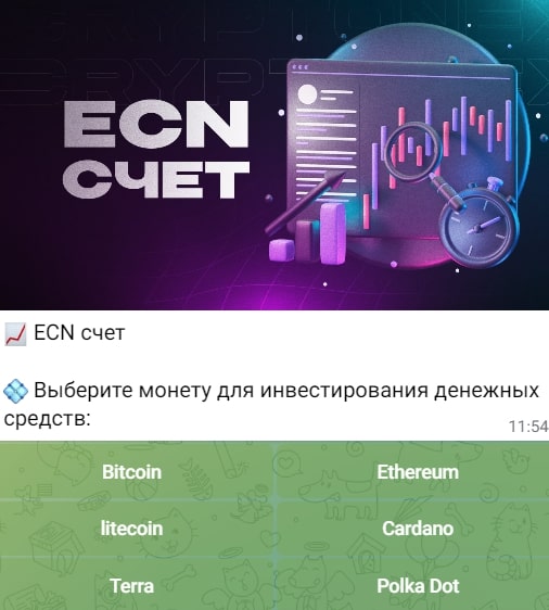 Cryptonex Trade телеграм