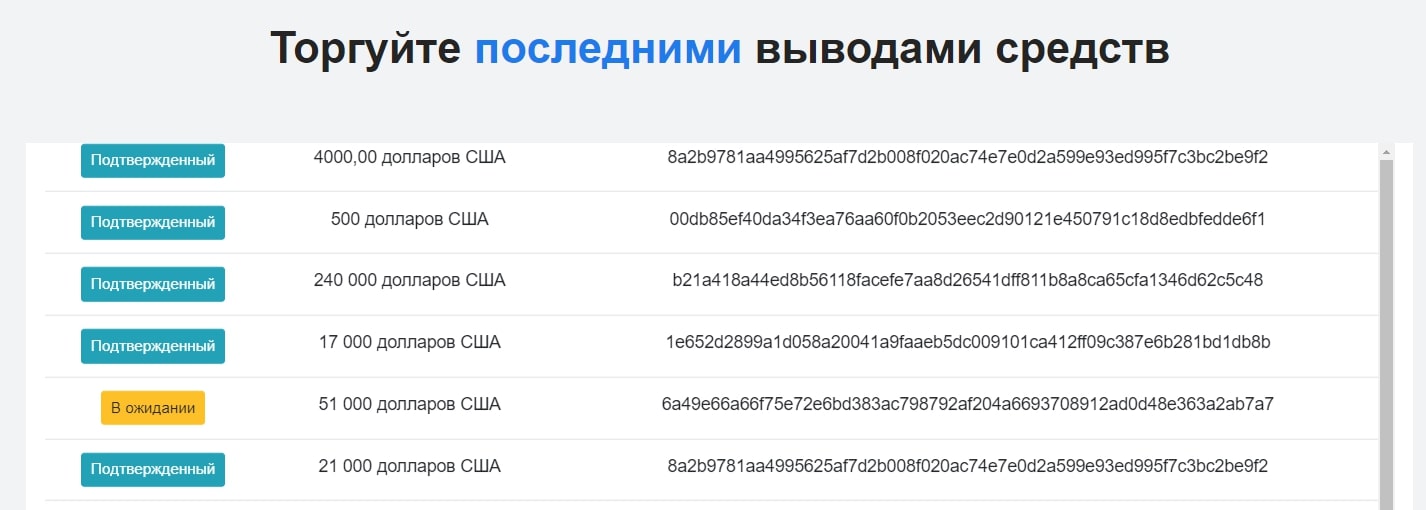 CodexAi сайт инфа