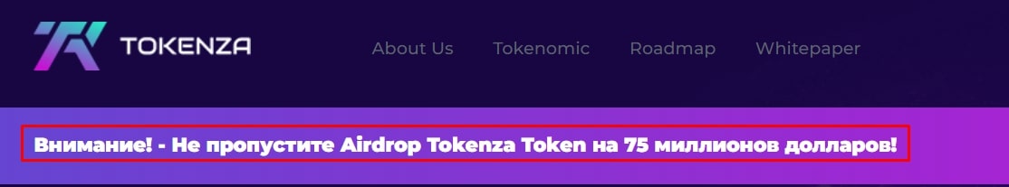 Tokenza токен инфа