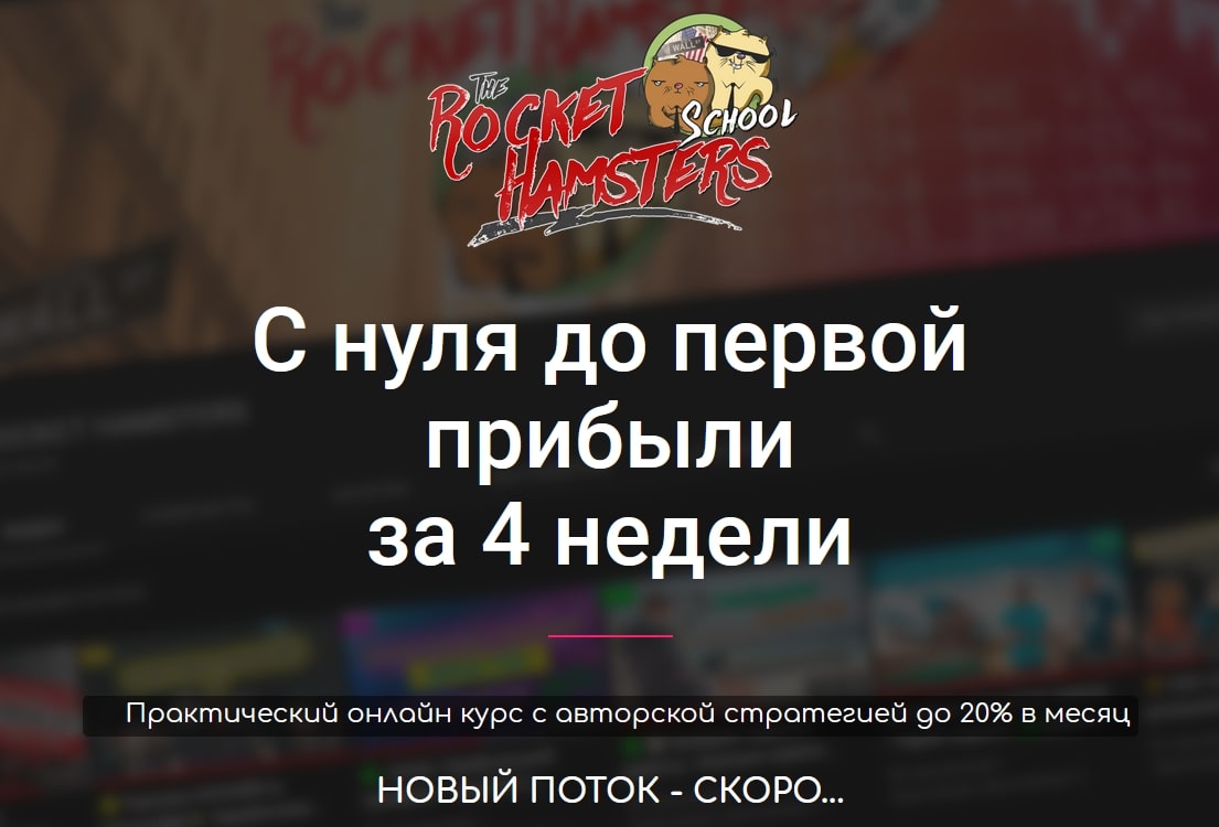 Rocket Hamsters сайт инфа