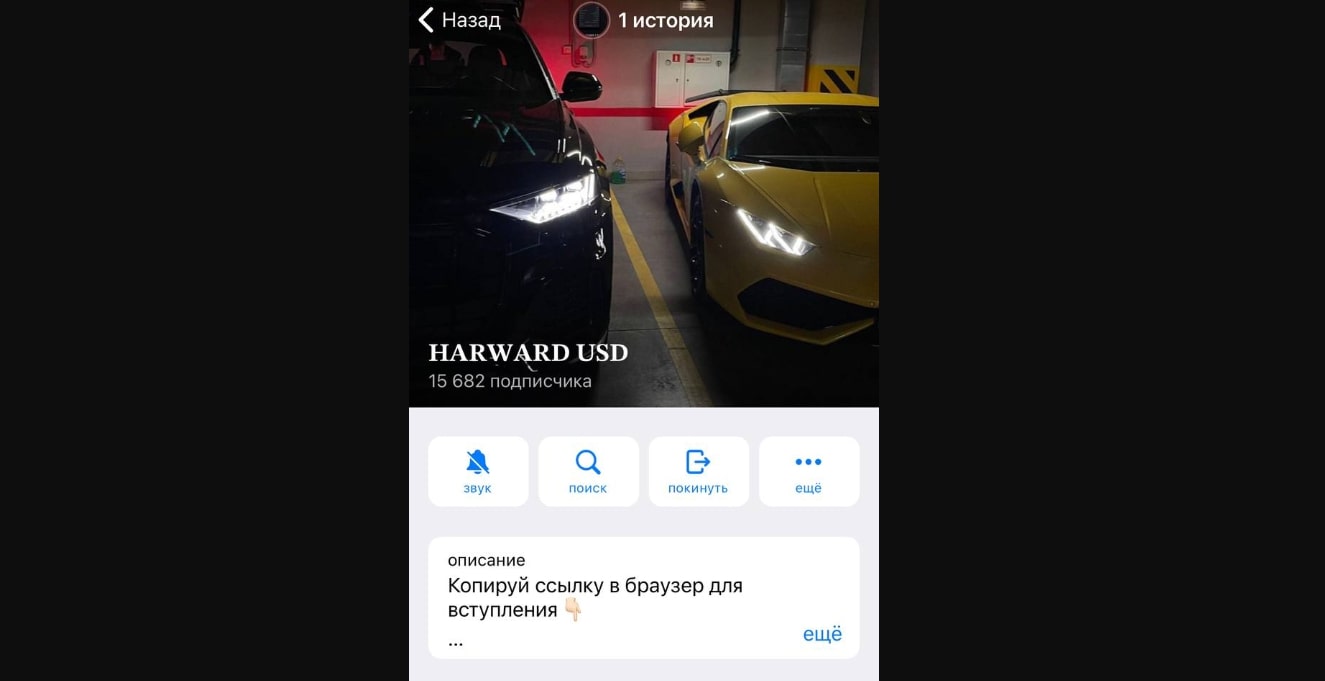 Harvard USD телеграм