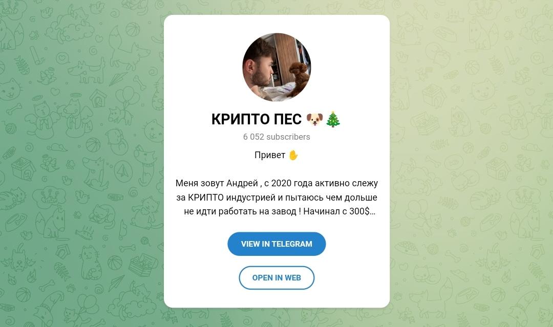 Крипто Пес телеграм