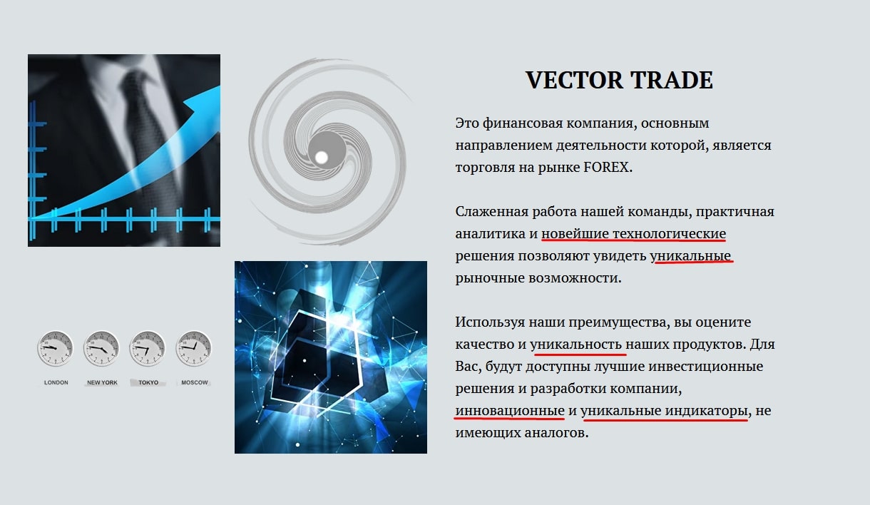 Vector trade сайт инфа