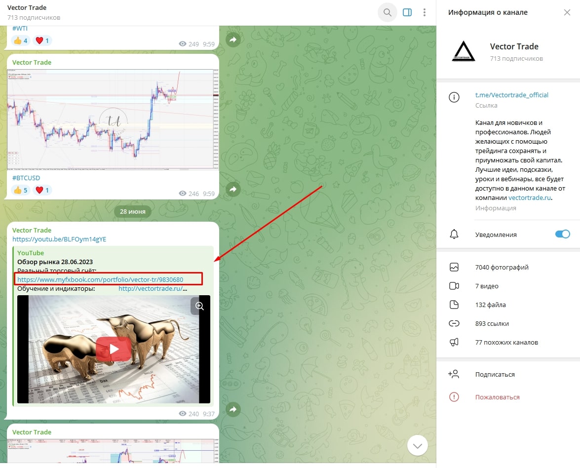 Vector trade телеграм