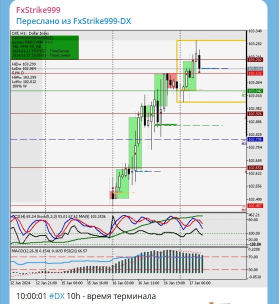 FxStrike999 анализ