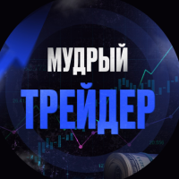 Мудрый трейдер Бинарные опционы