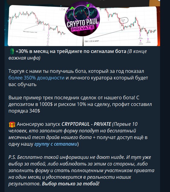 трейдер crypto paul