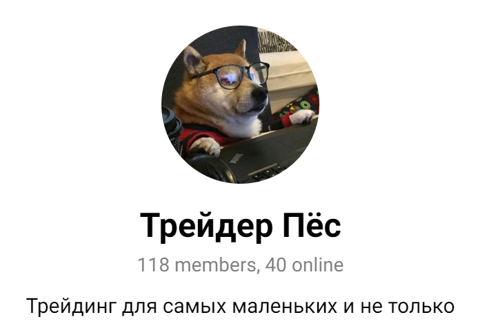 трейдер пёс