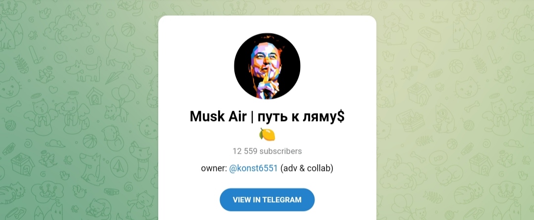 musk air путь к ляму