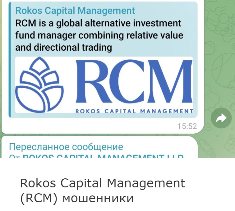 rokos capital management llp