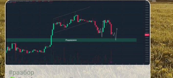 gudov crypto