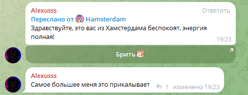 hamsterdam кликер