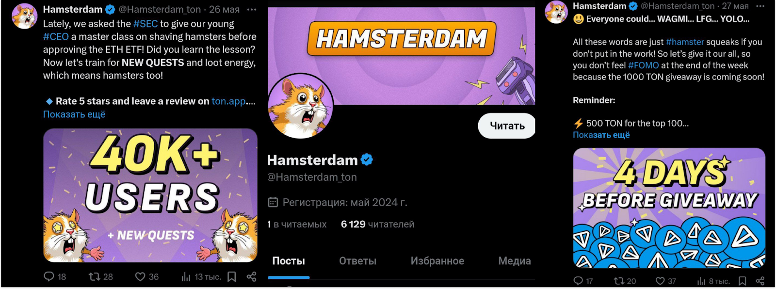 hamsterdam крипта