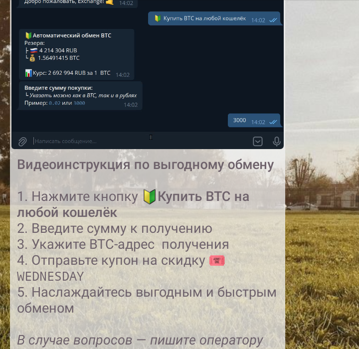 vipbit biz