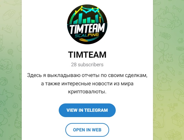 timteam