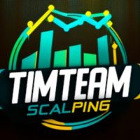 Timteam